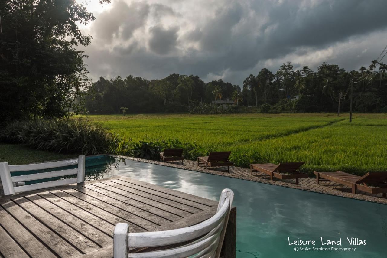 Superior Family Rooms Rice Field View & Pool,1758375666:JPEG